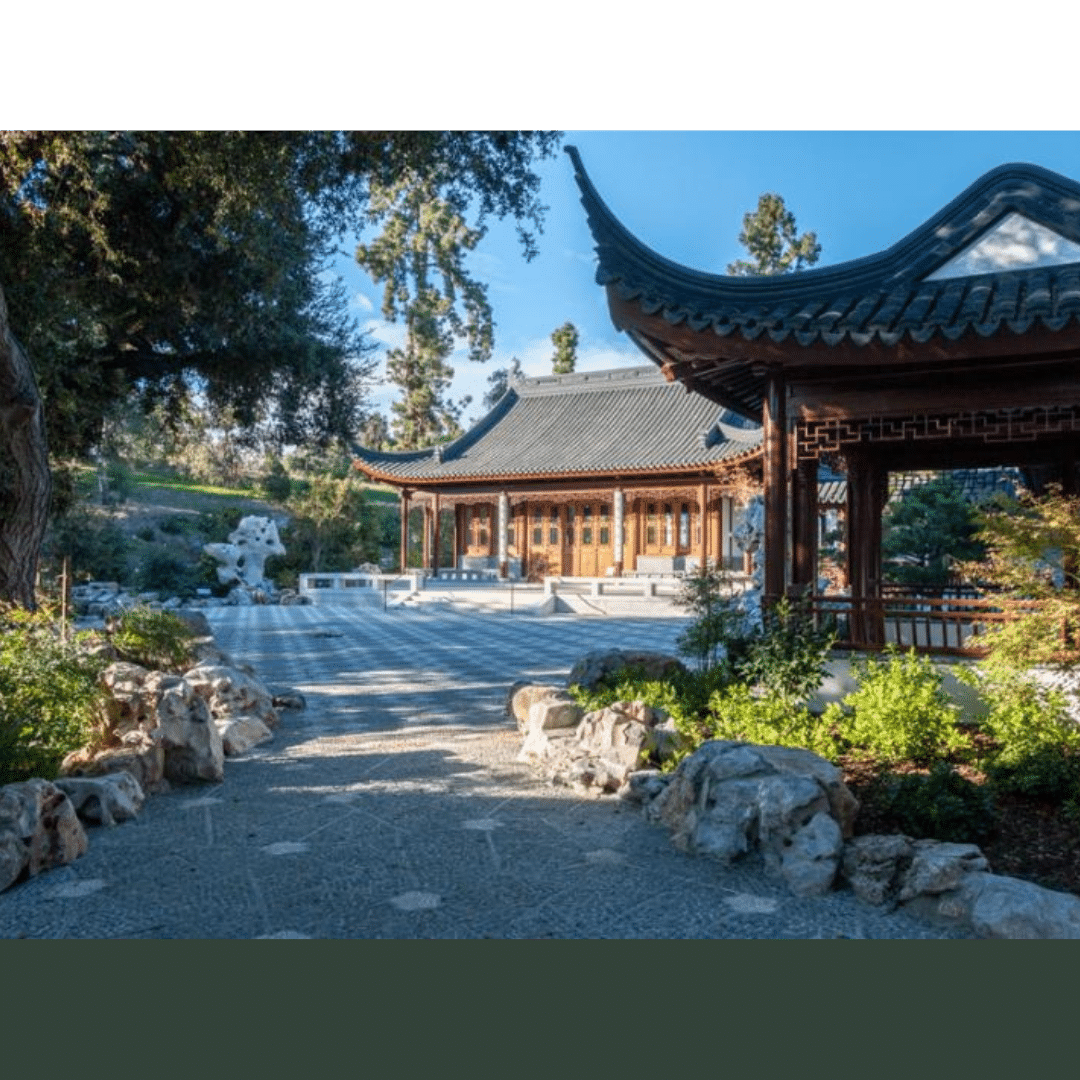 Chinese Gardens with Philip Bloom